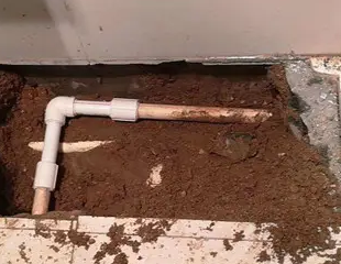 景泰测漏水哪家好