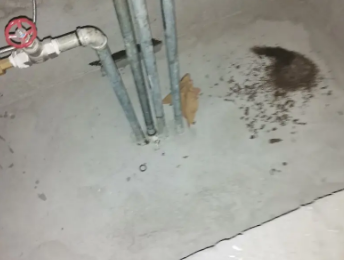 景泰卫生间测漏水价格明细